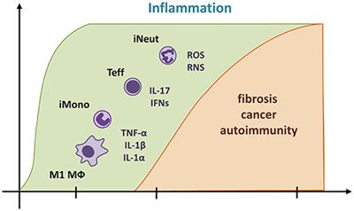 Emerging Role of Immunosuppression in Diseases Induced by Micro- and Nano-Particles: Time to Revisit the Exclusive Inflammatory Scenario